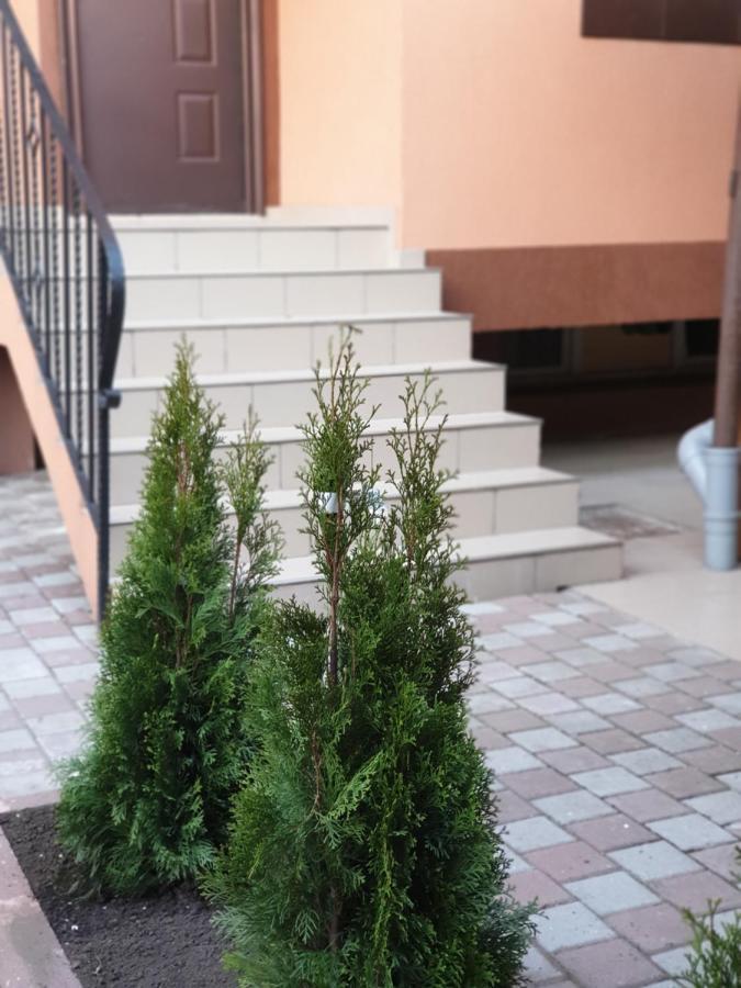 Villa Accommodation บูคาเรสต์ ภายนอก รูปภาพ
