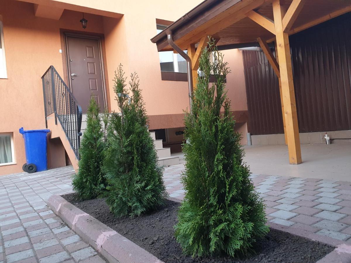 Villa Accommodation บูคาเรสต์ ภายนอก รูปภาพ